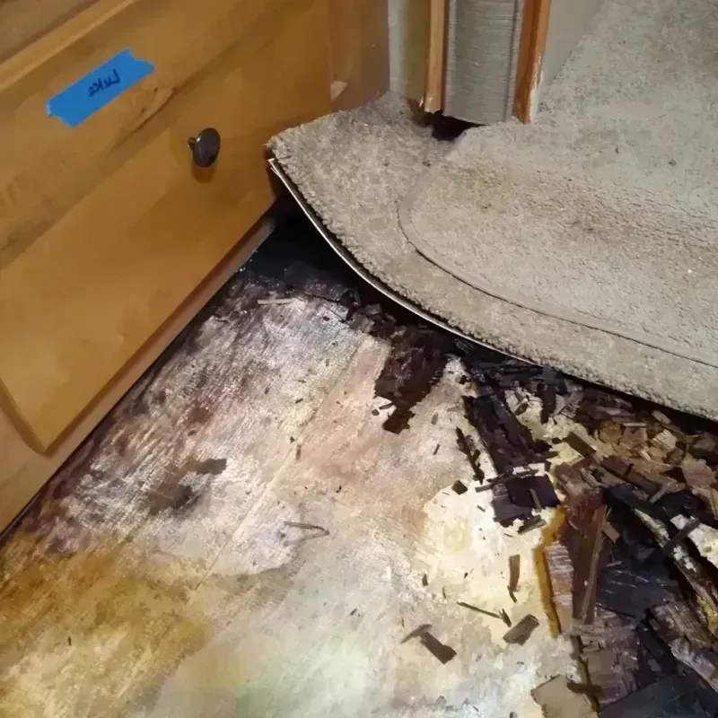 Best Wood Floor Water Damage Service in Imperial, MO